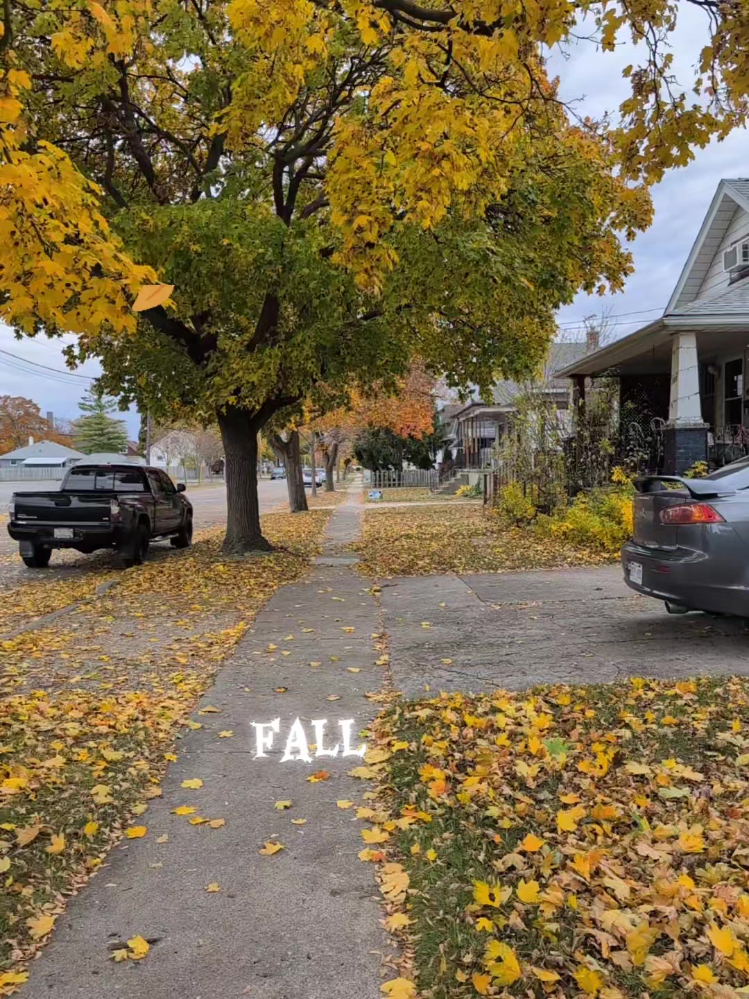 @Anjit🇳🇵🇨🇦