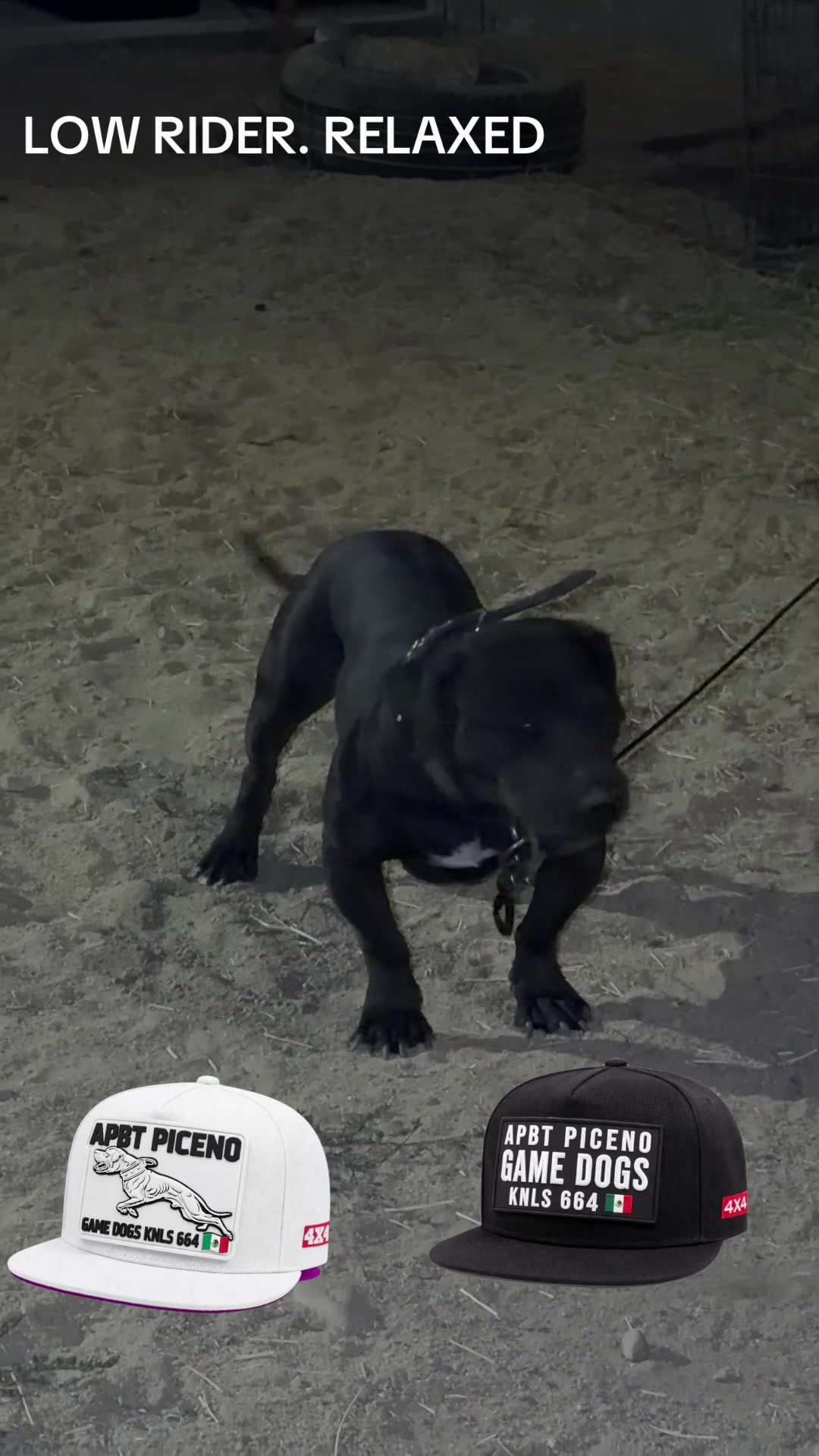 @APBT PICENO TIJUANA