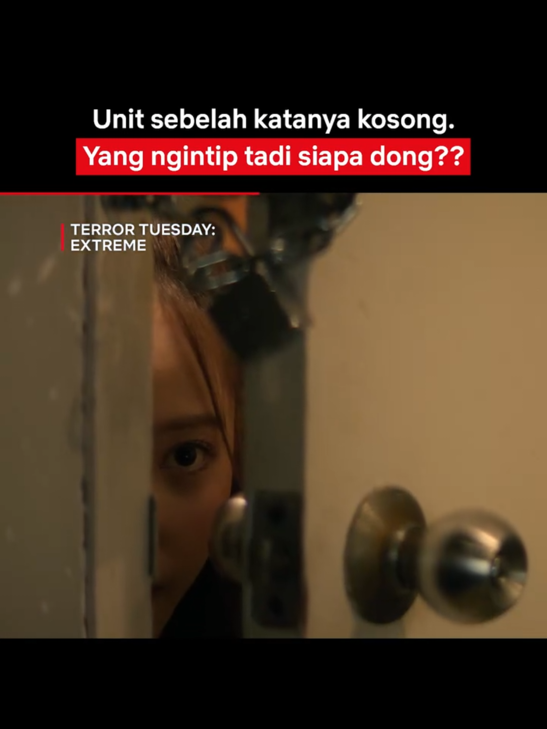 @LENS HG