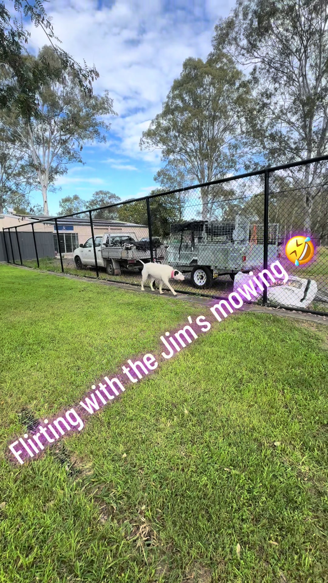 @Judd (just us deserving dogs)