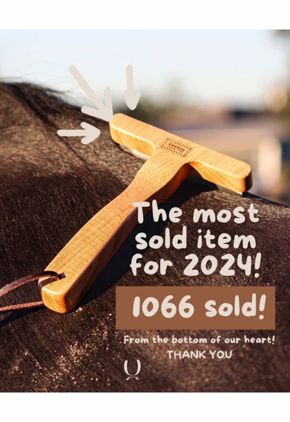 @Ippico Equestrian