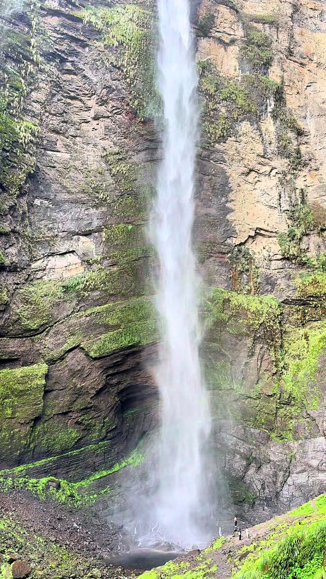 @Roiser Sánchez