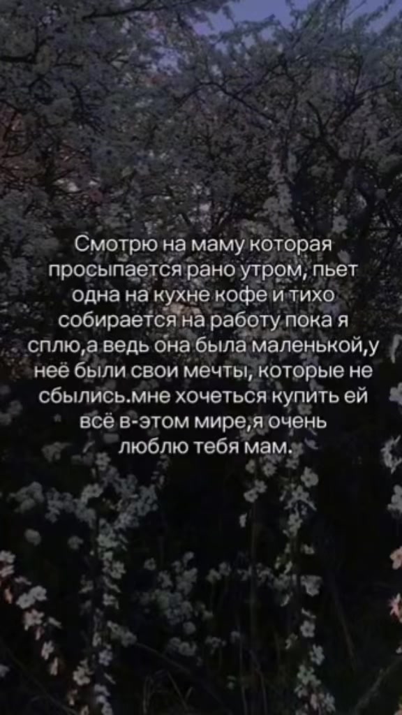 @Di🩶
