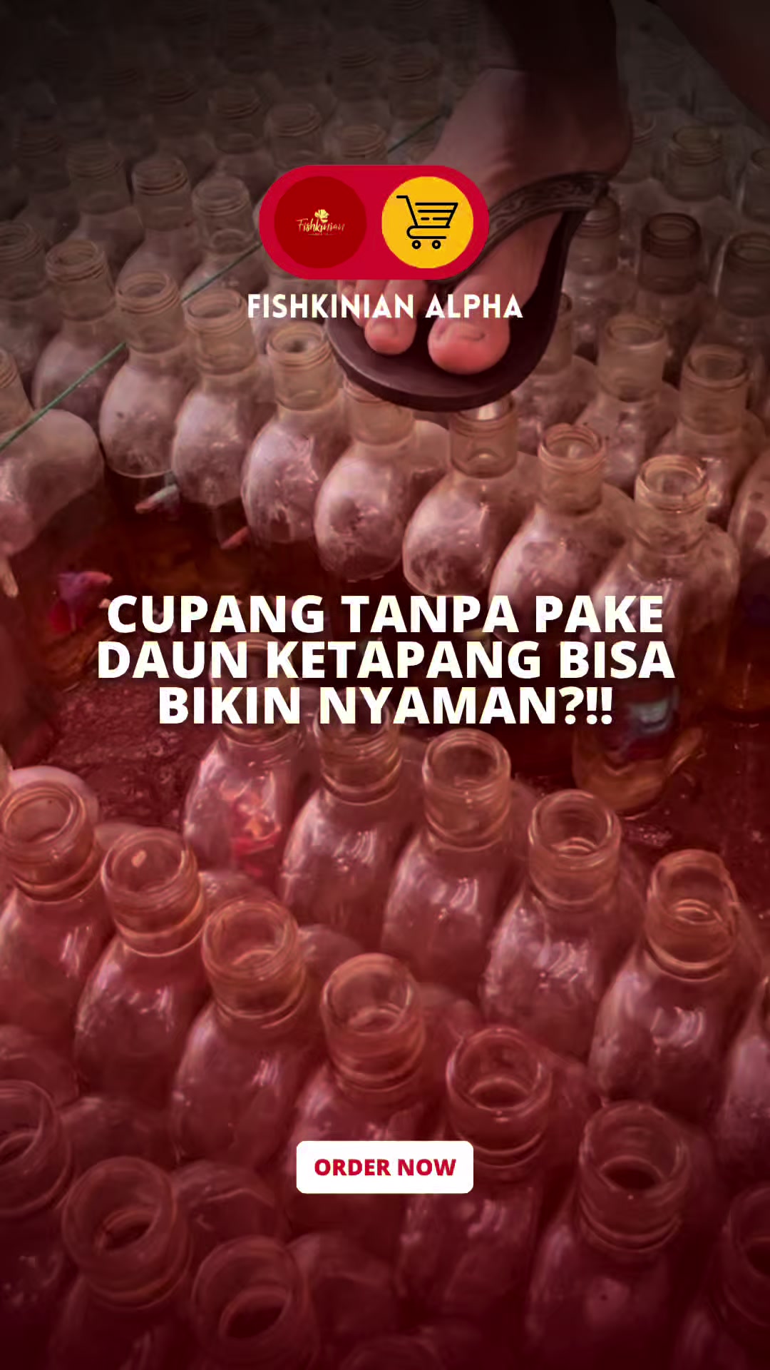 @Fishkinian Alpha1