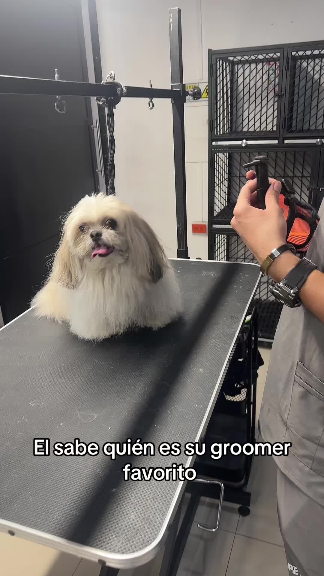 @dayangroomer