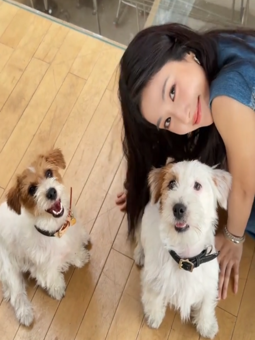 @Ở đây có Lư Dục Hiểu