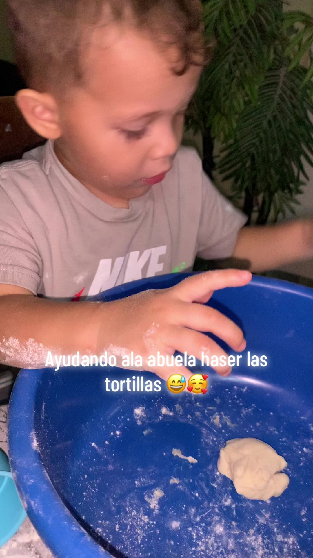 @Mateo y Tadeo