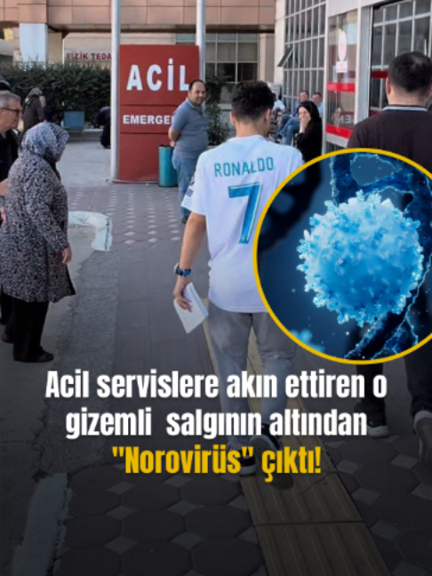 @Mynet
