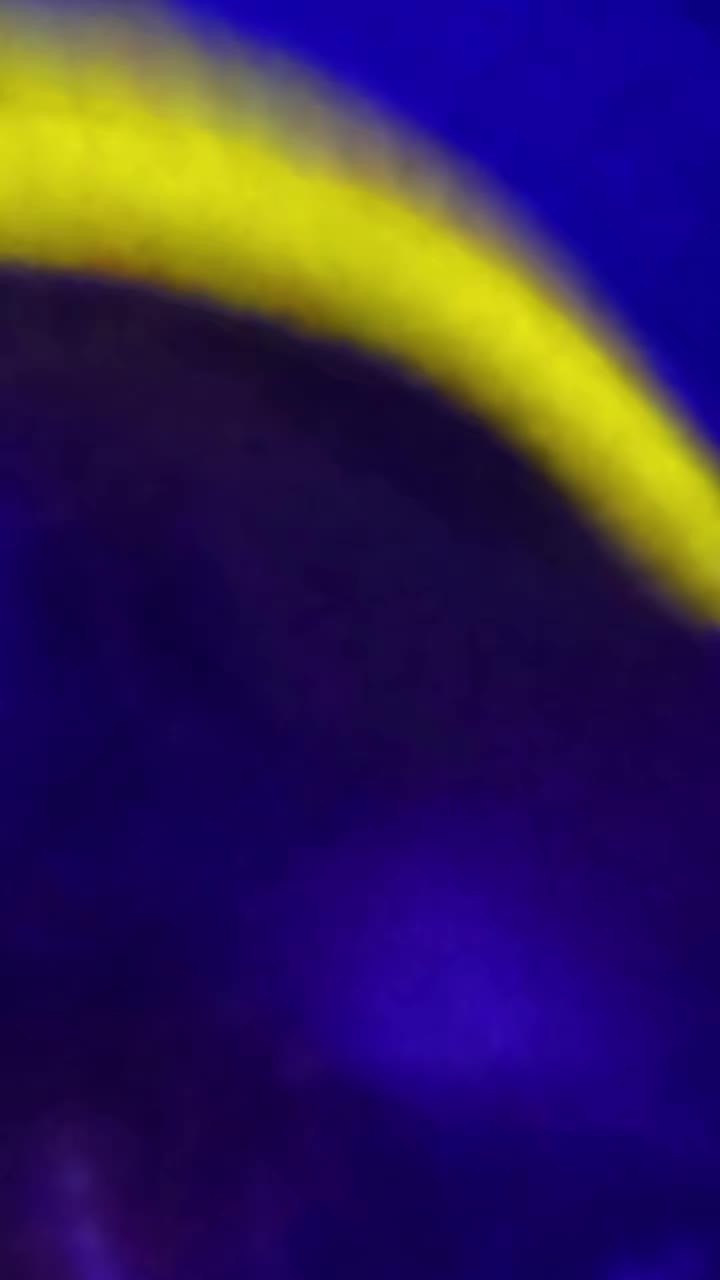 @GAZABOSSballa