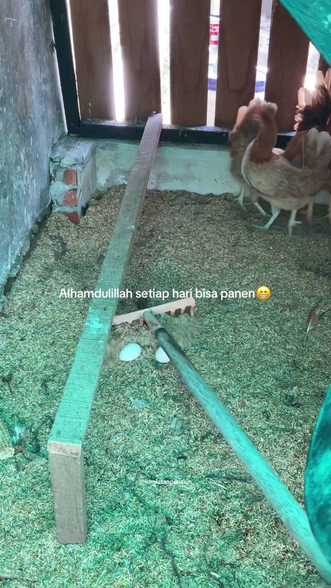 @kegiatanpensiun