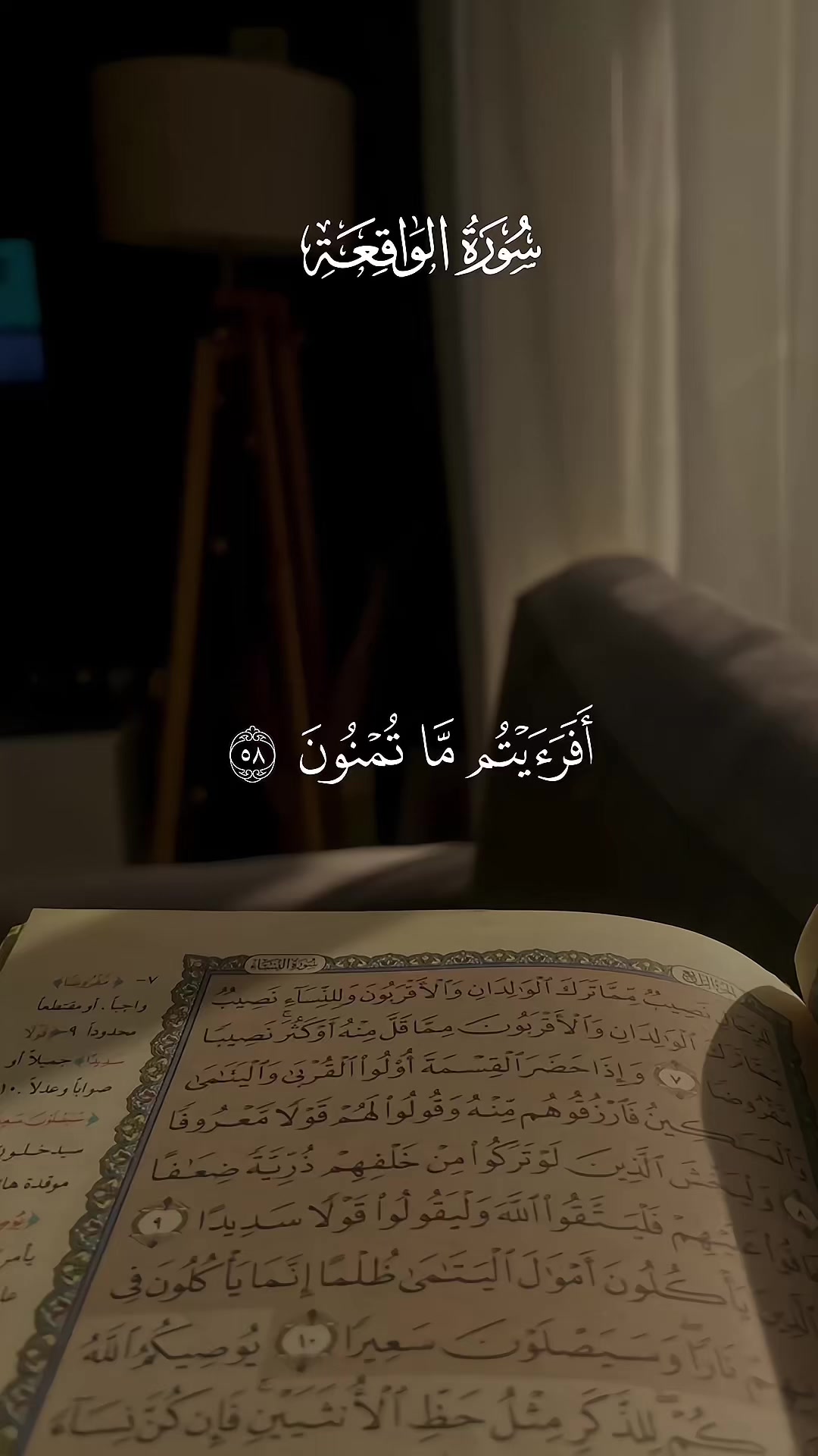 @◈ الشيخ محمود خليل الحصري ◈