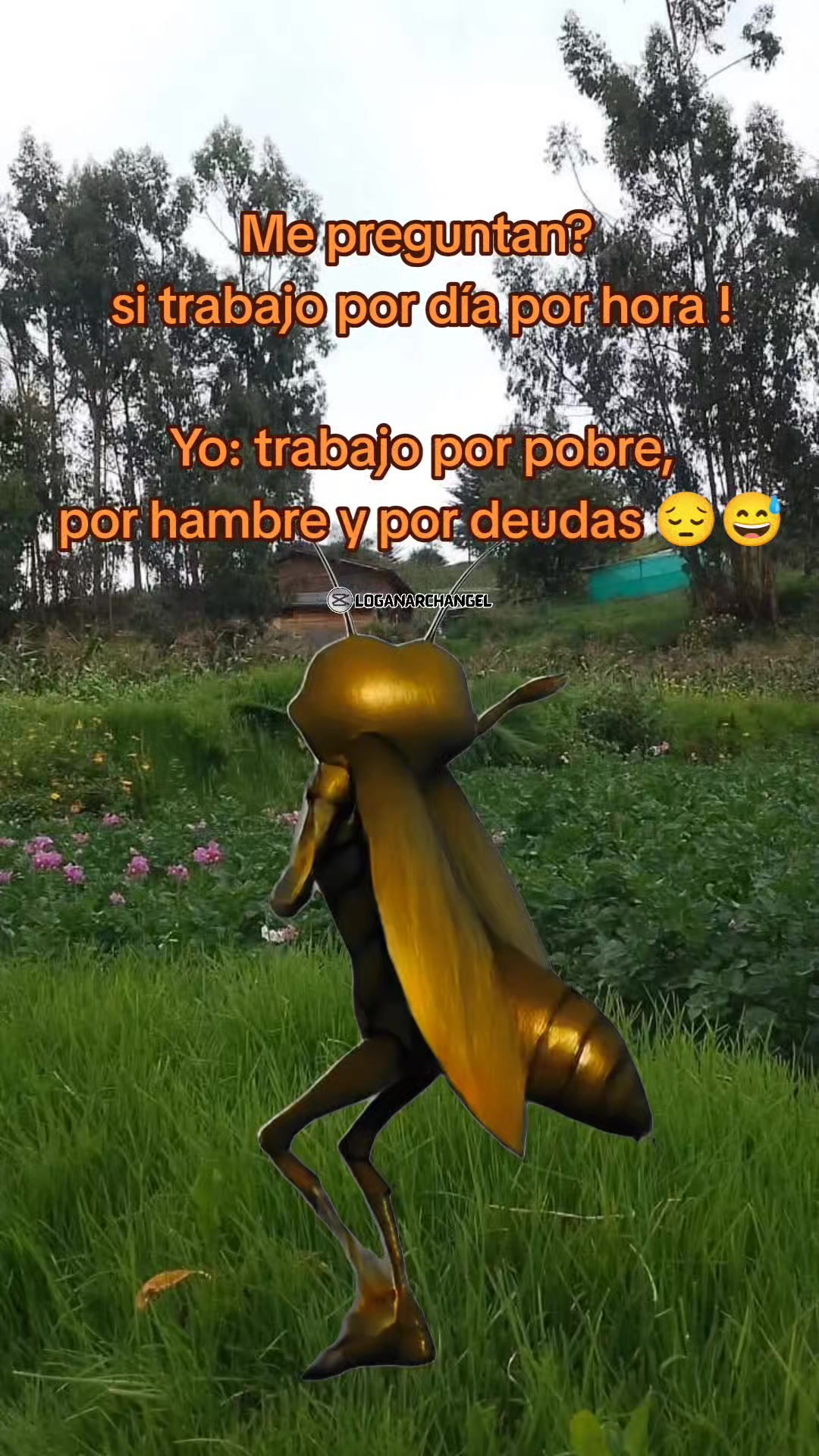@Fanny Quispe❤️