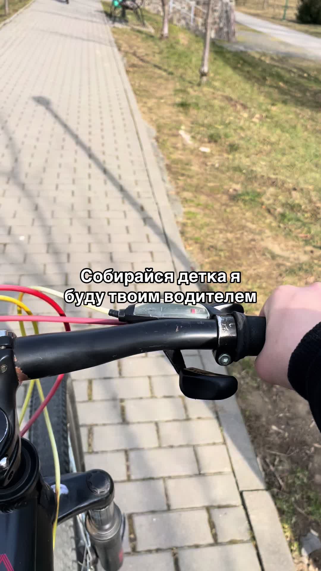 @Sektor STANTA📈