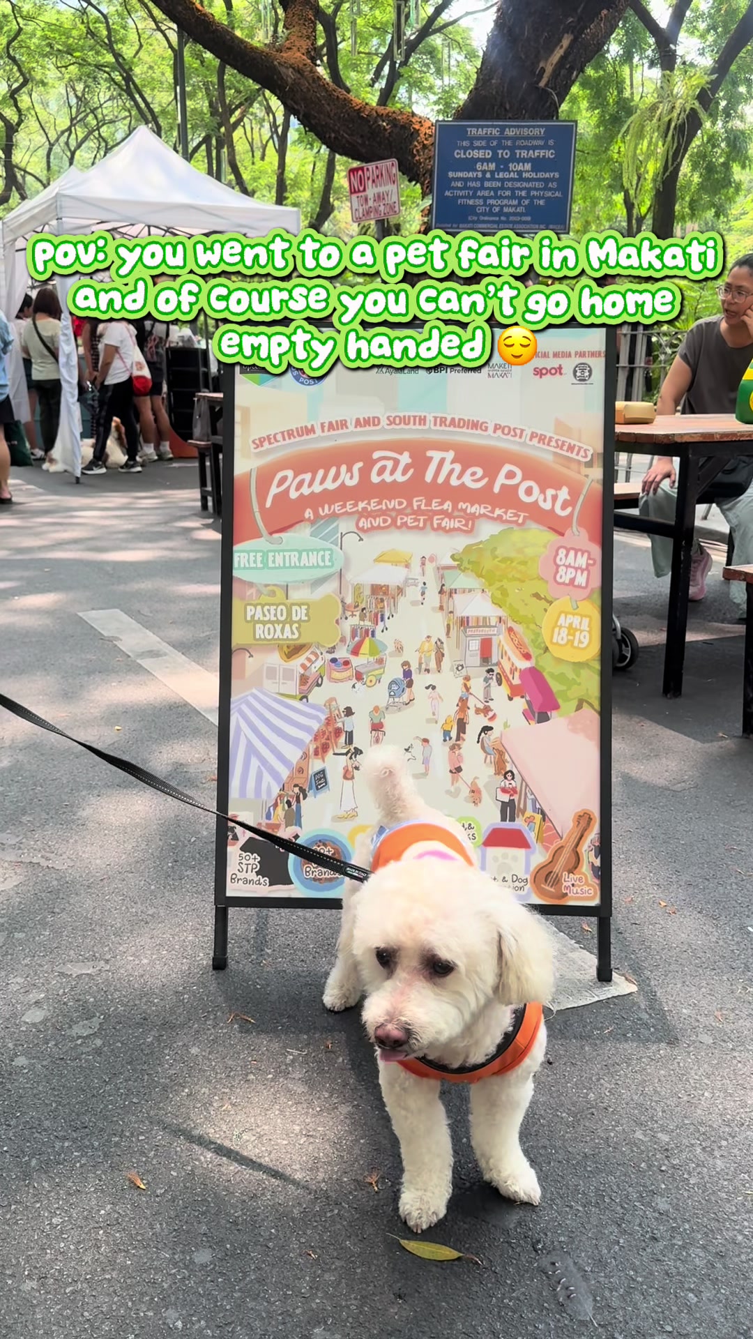 @Coco the poodle