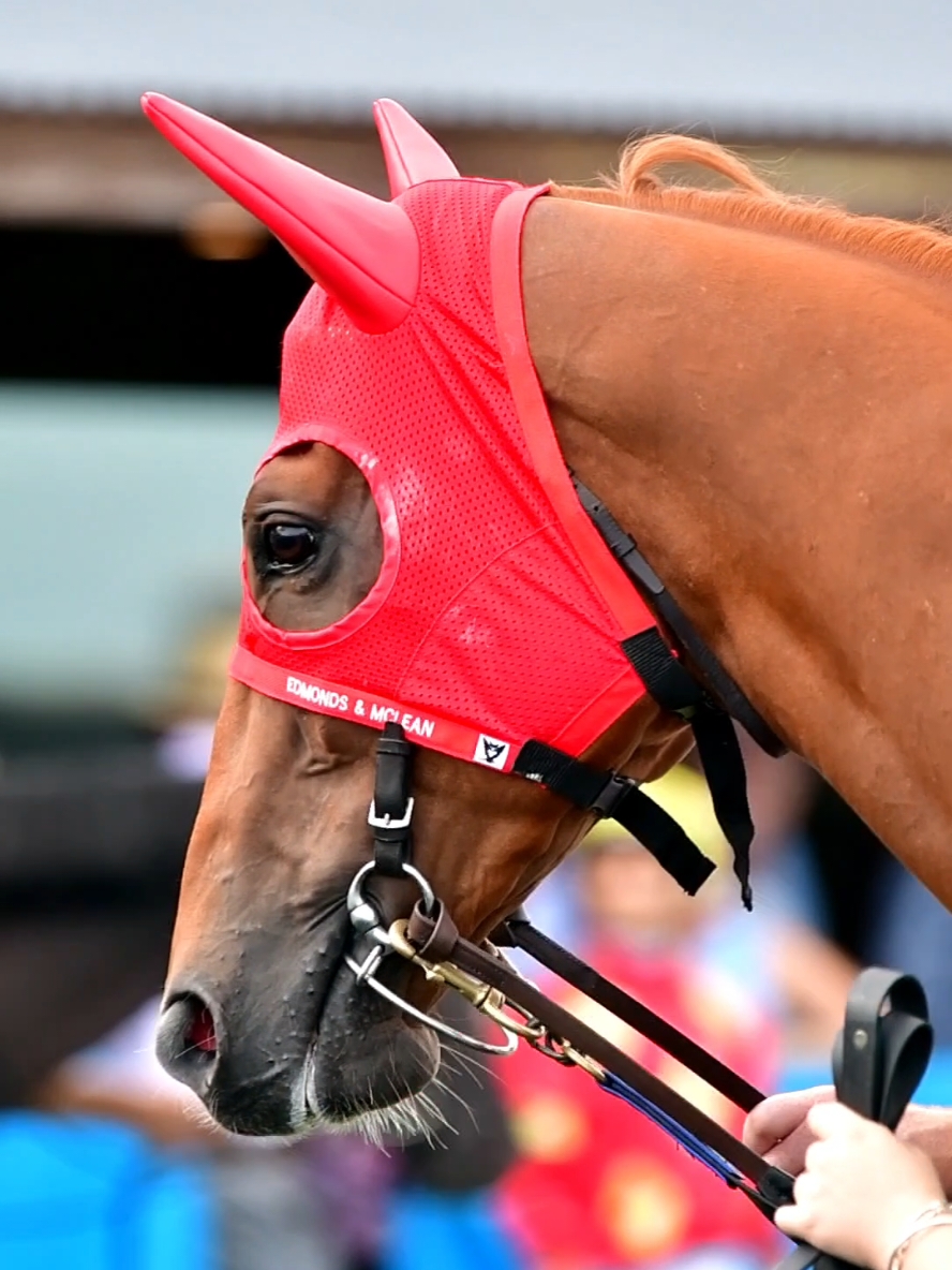 @TOBY EDMONDS RACING
