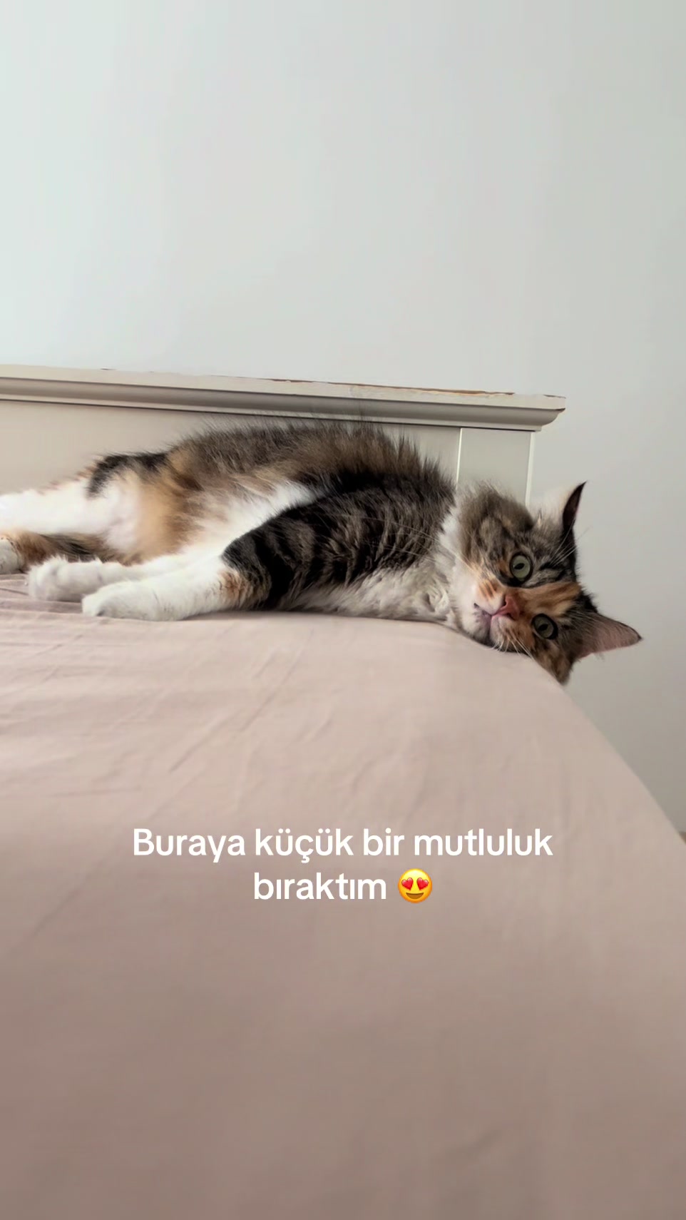 @konusankediminnos