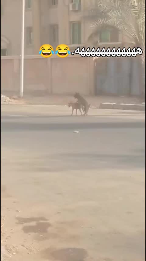 @uoosf