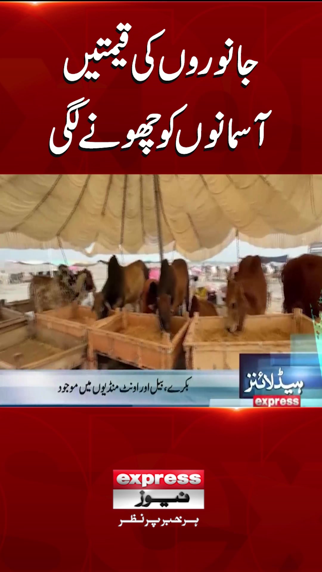 @expressnews_pk