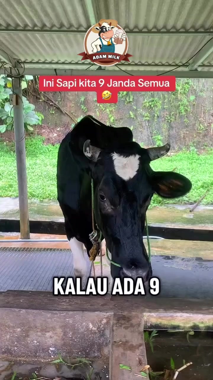 @ADAM MILK FARM