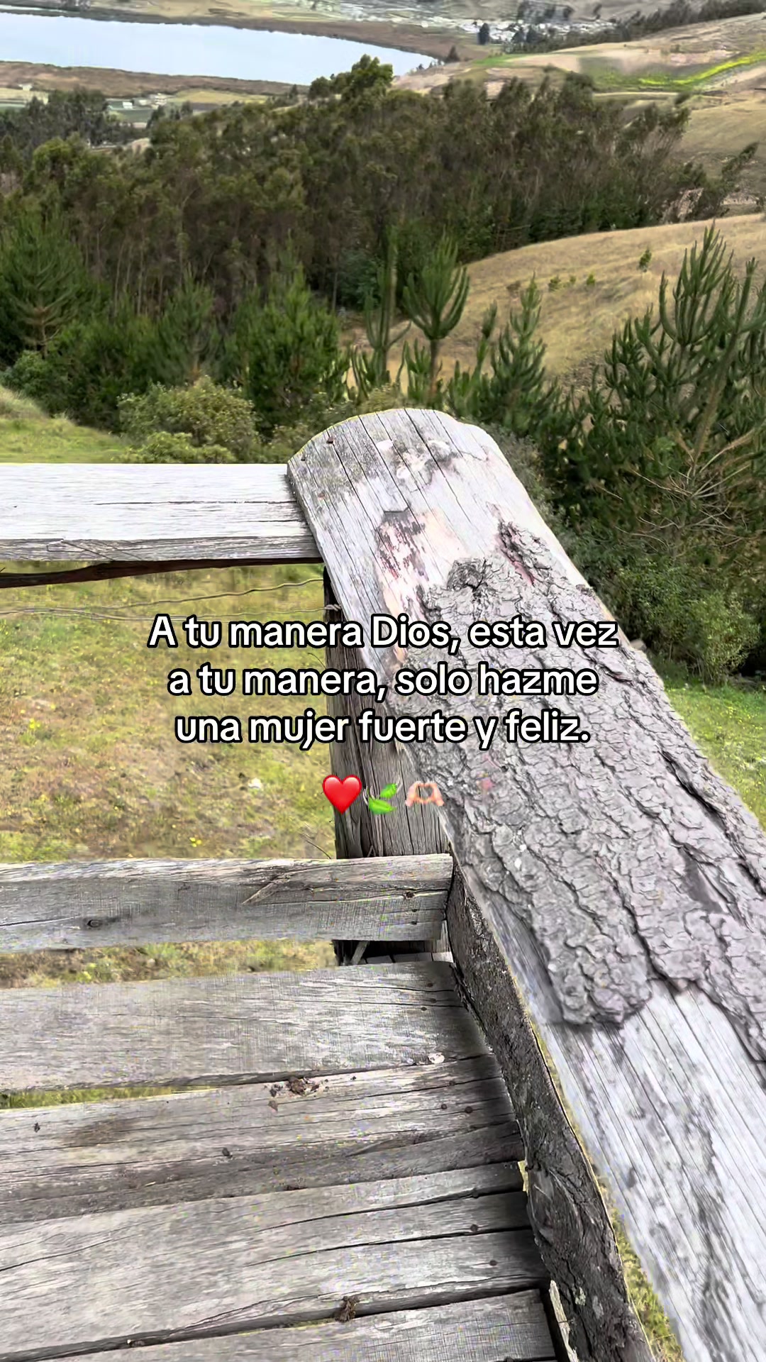@Mile 🌷