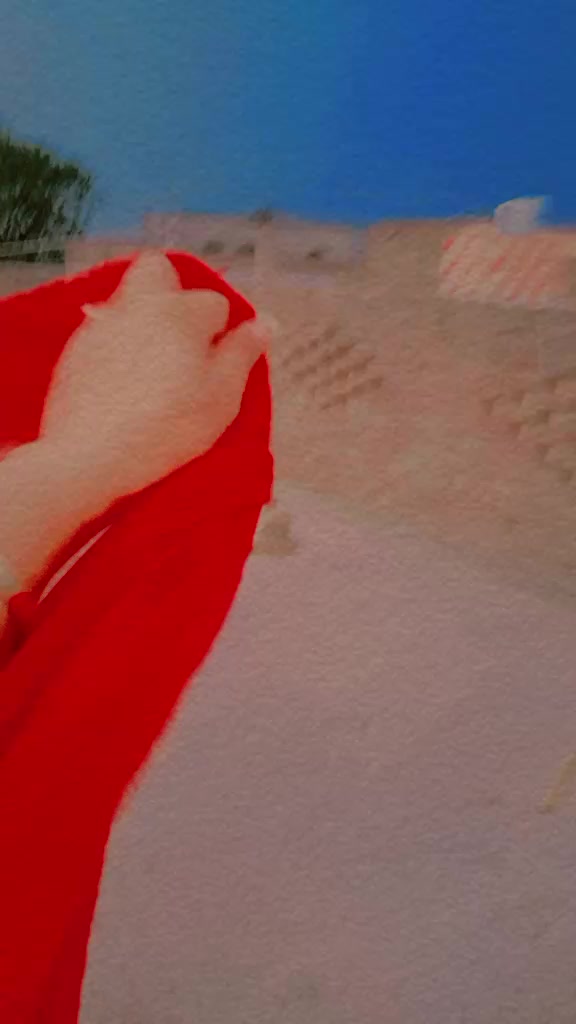 @꧁سوہنا ماہی꧂