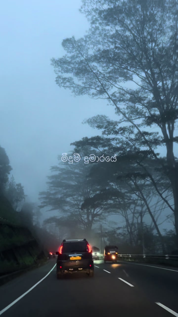 @Nayani Dissanayake