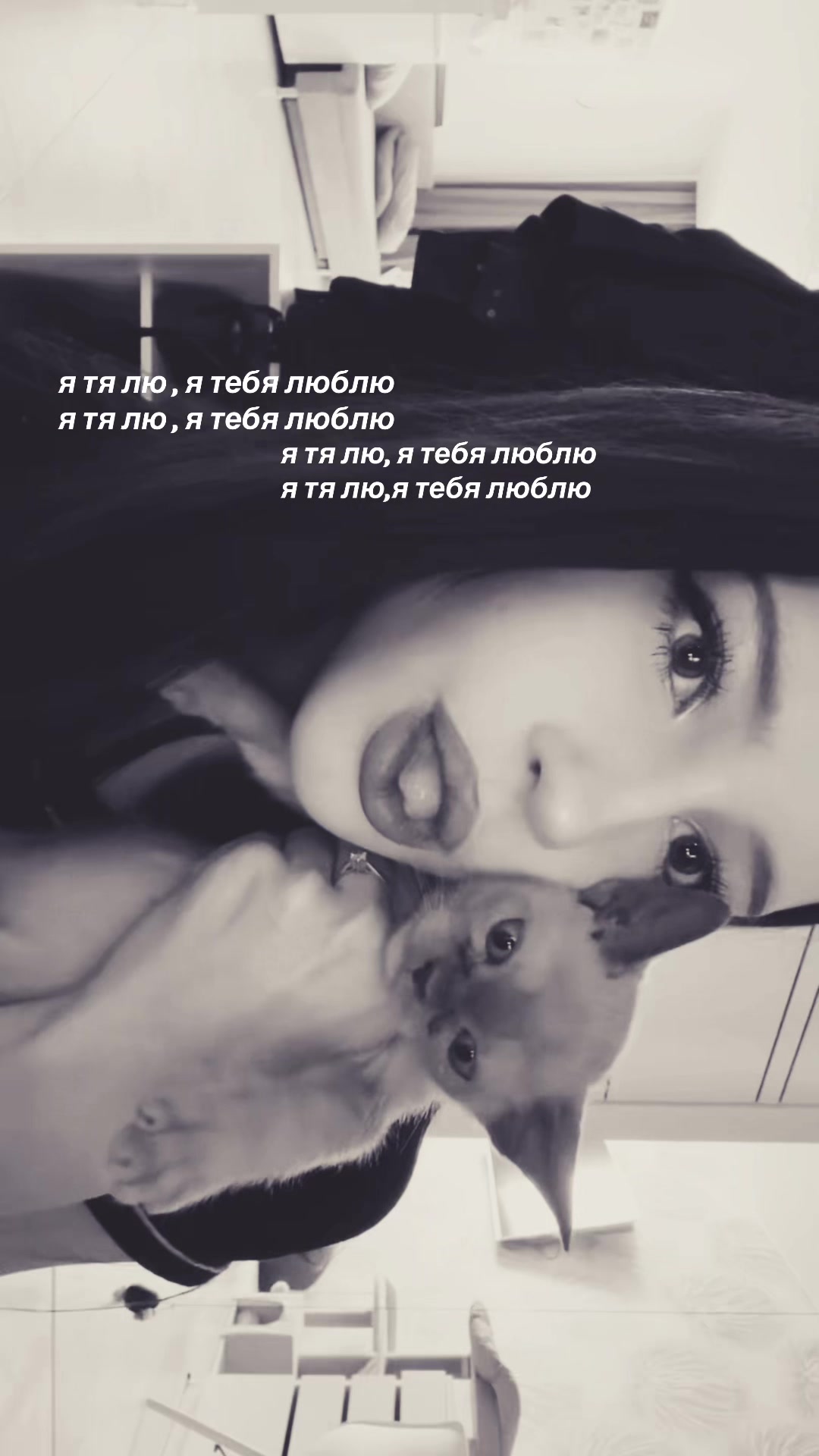 @wvvwxz