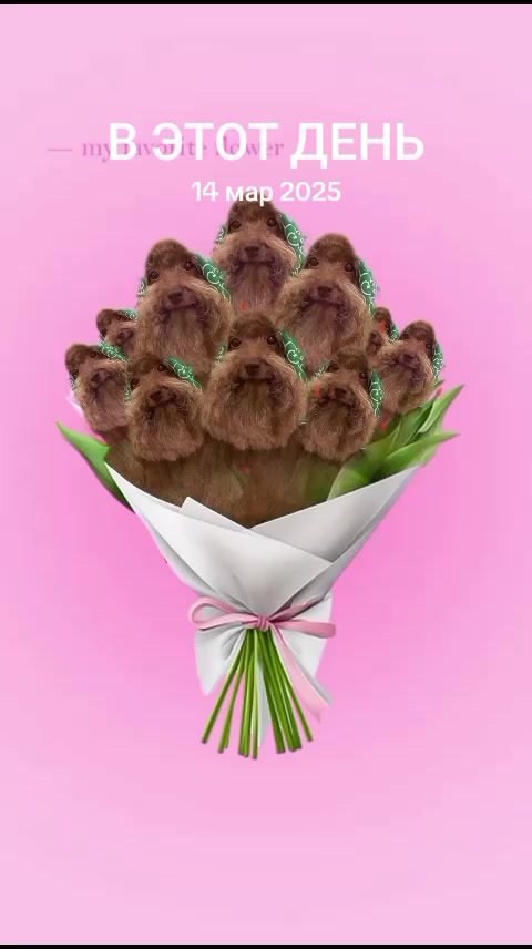 @зима короче 🩵🩵