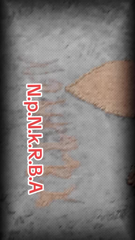 @Nikhil Kumar Patel