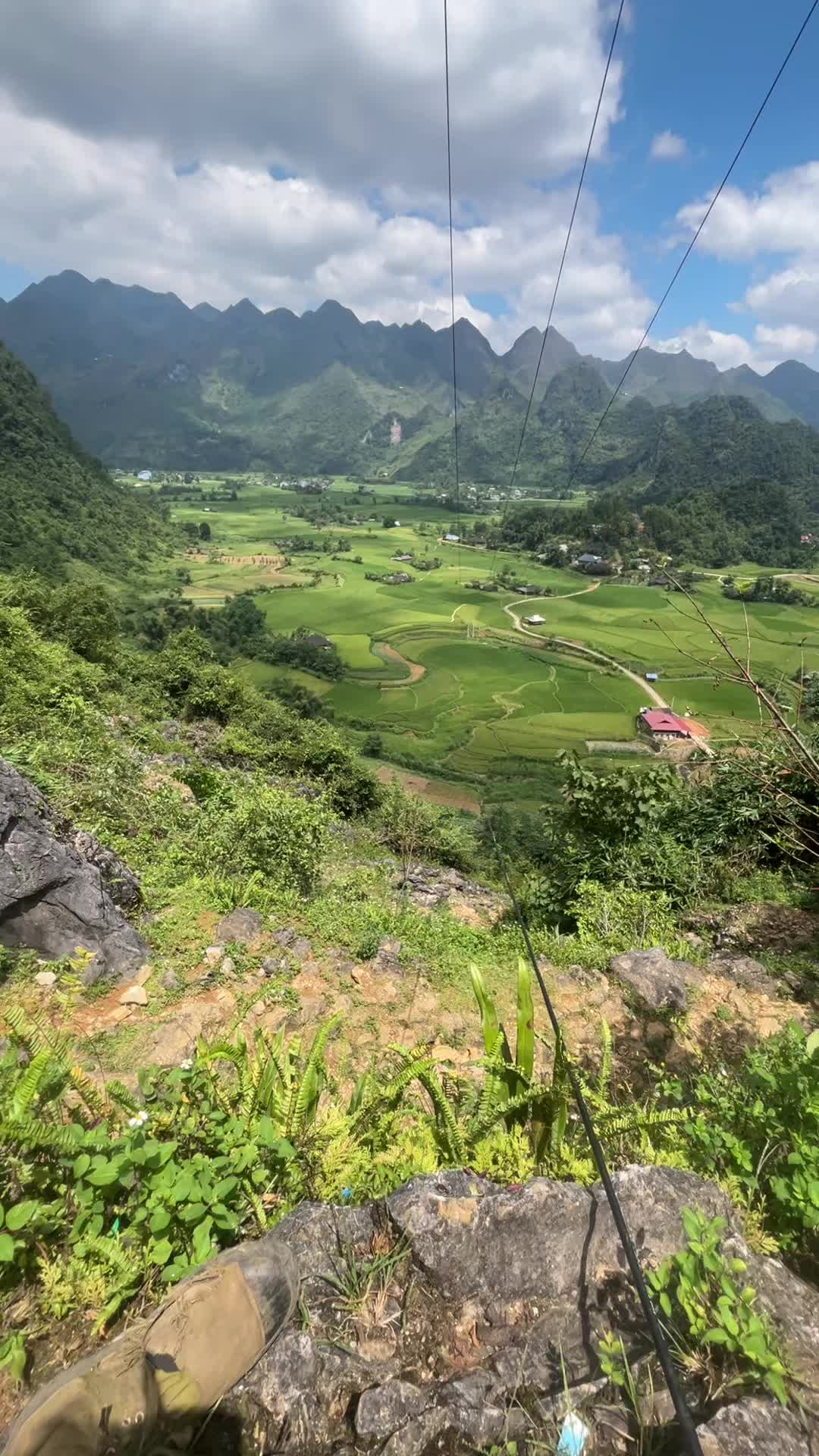 @L&Iacute;U  🇻🇳☣️
