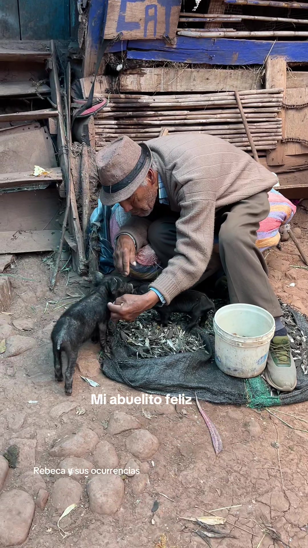 @🐈Rebeca y sus ocurrencias