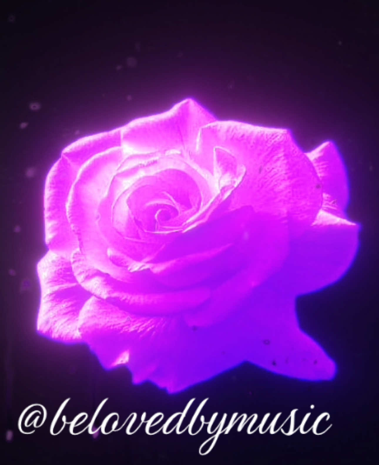 @🎼𝐀𝐒🎧