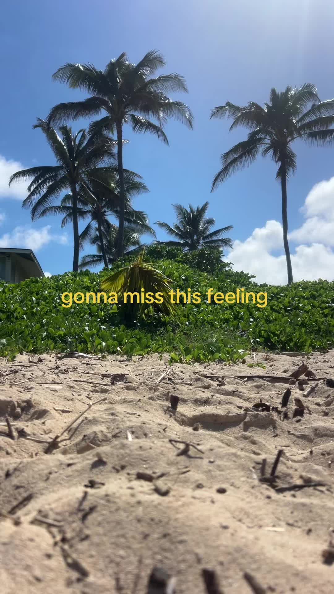 @elizepierce
