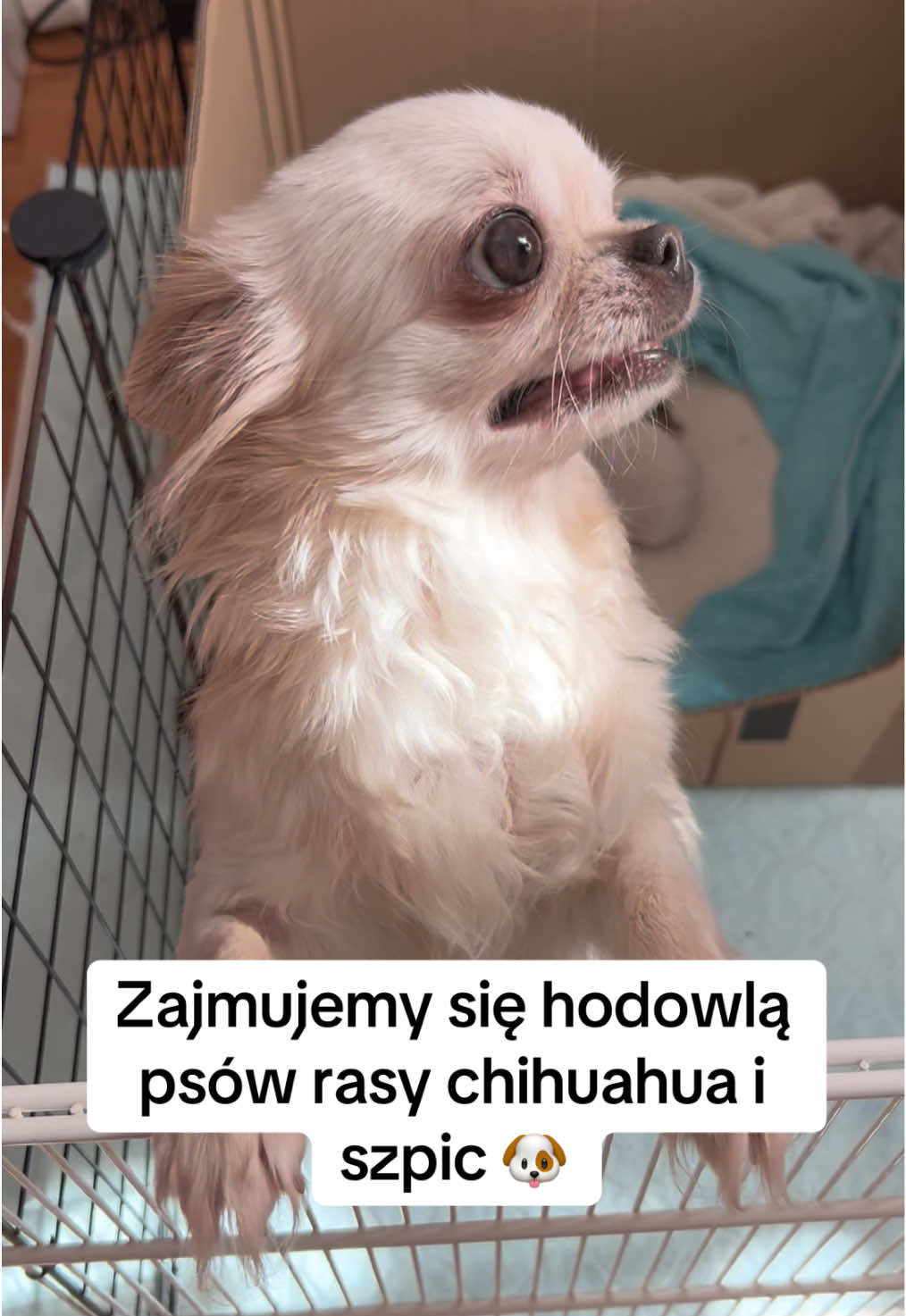 @Ulybki_lilu