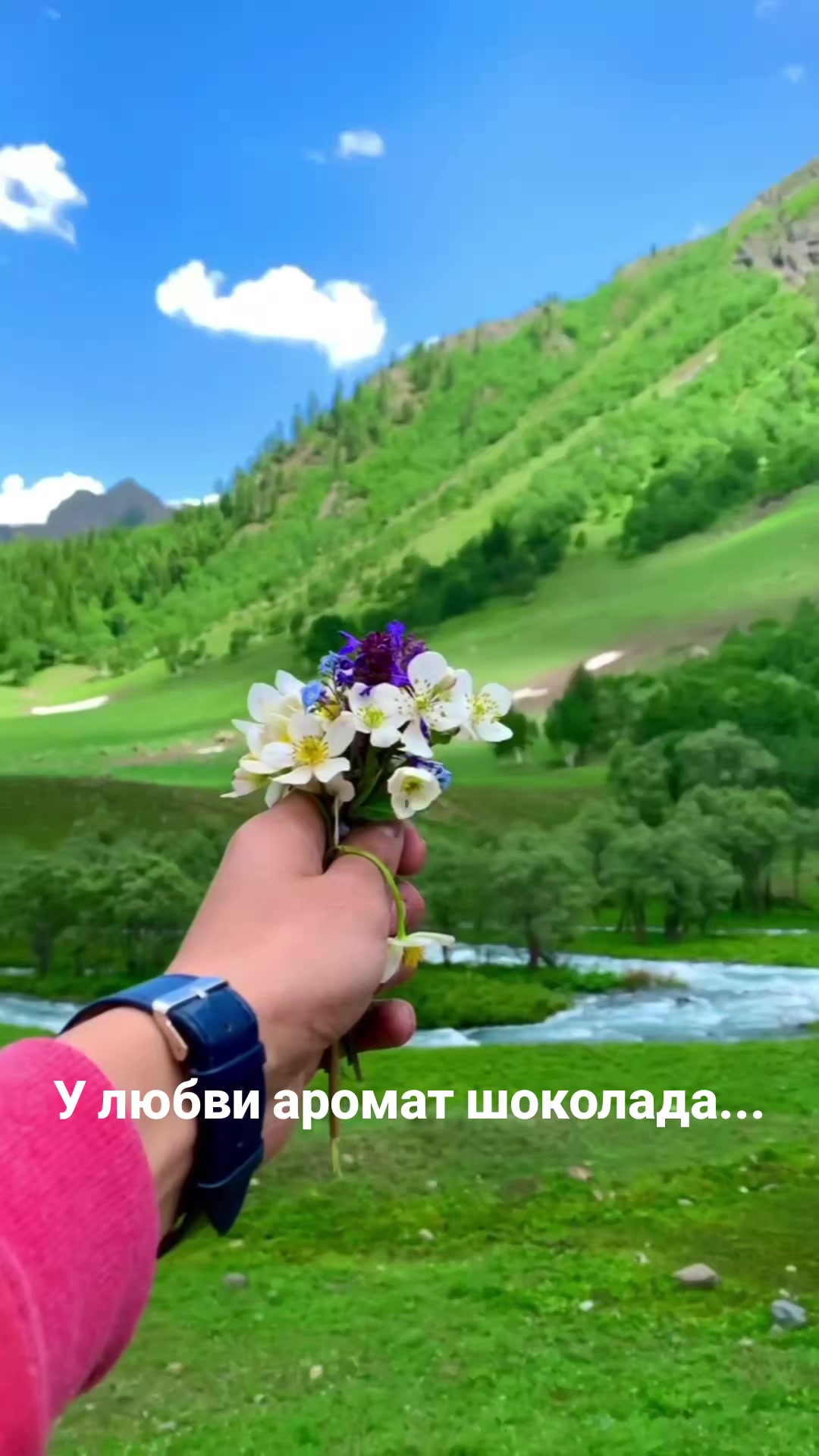 @Мила Телец.