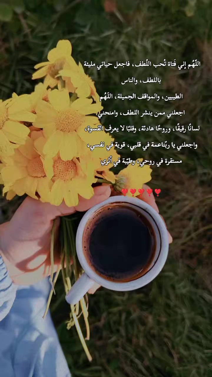 @𝒜𝒾𝒹𝒶