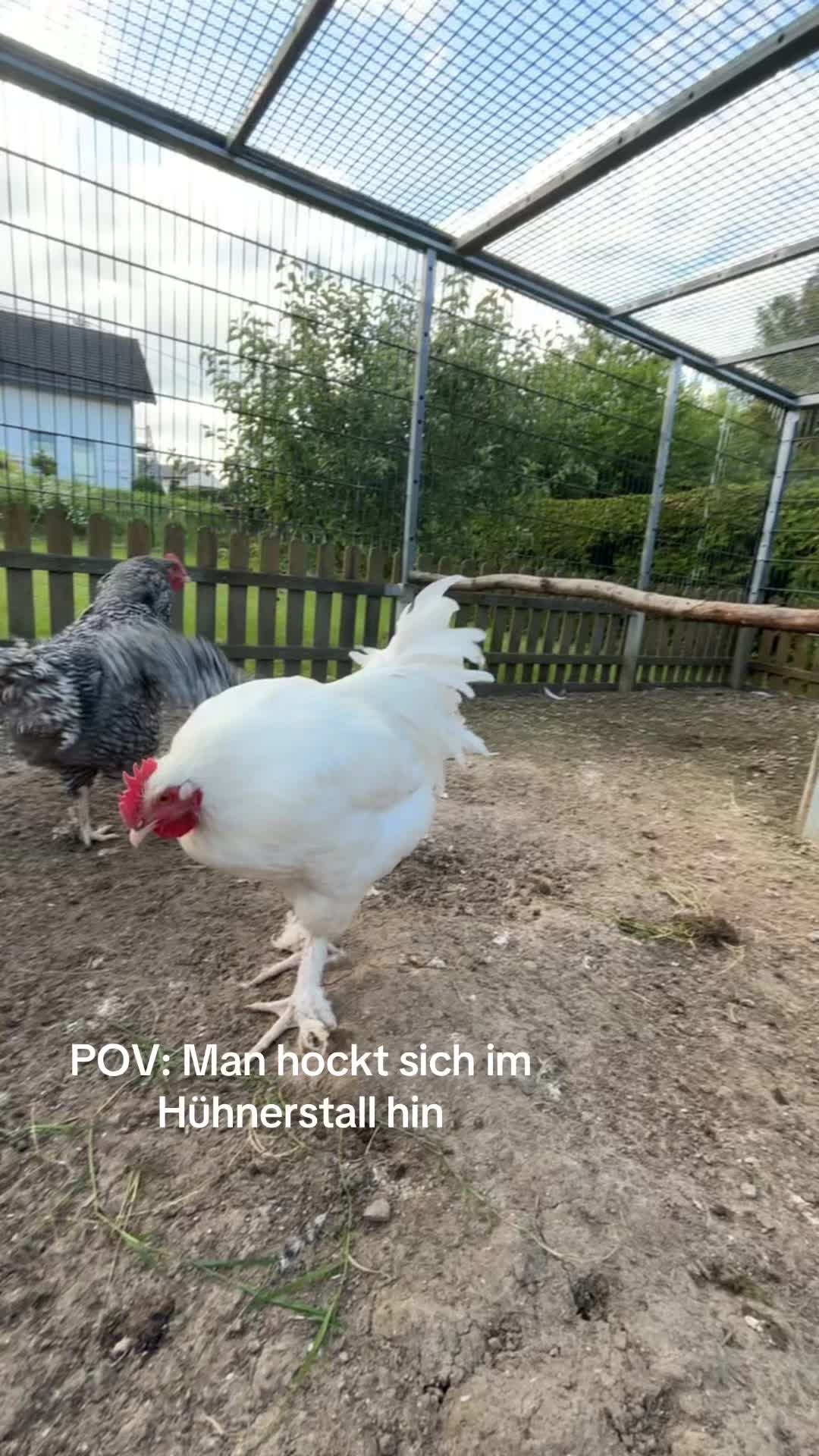 @Jan_cro