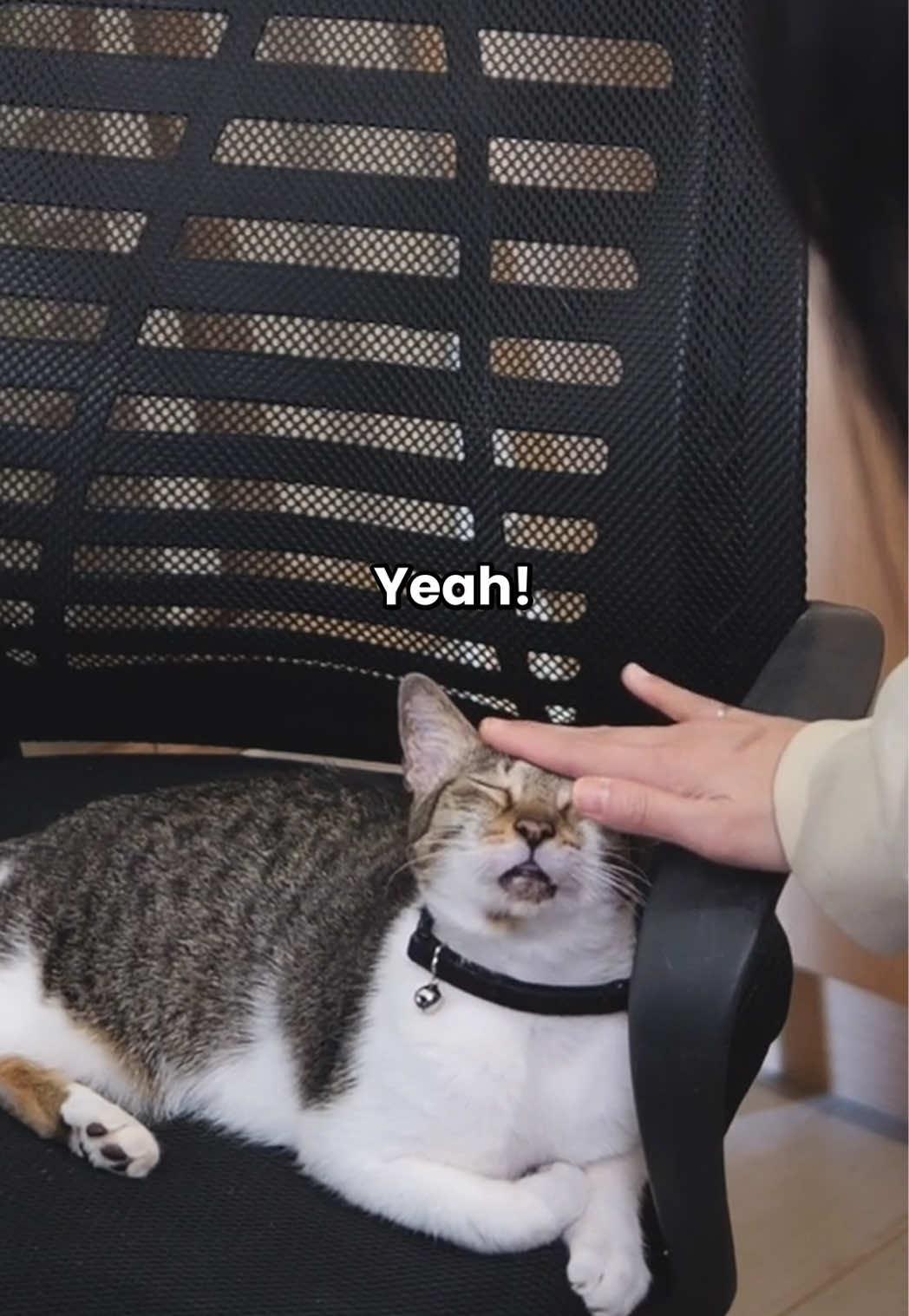 @Leezipotato