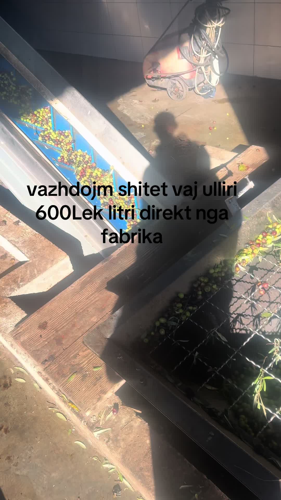 @fabrik vaj ulliri Luan Bengaj