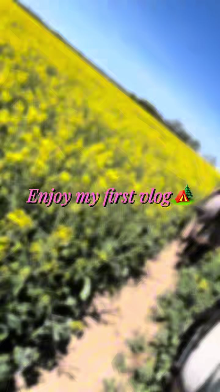 @Majka_W