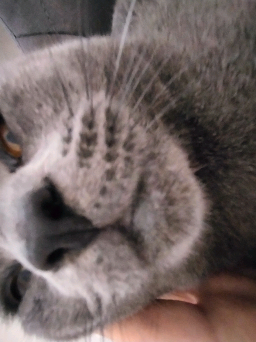 @𝐂𝐑𝐀𝐒𝐇𝐄𝐑