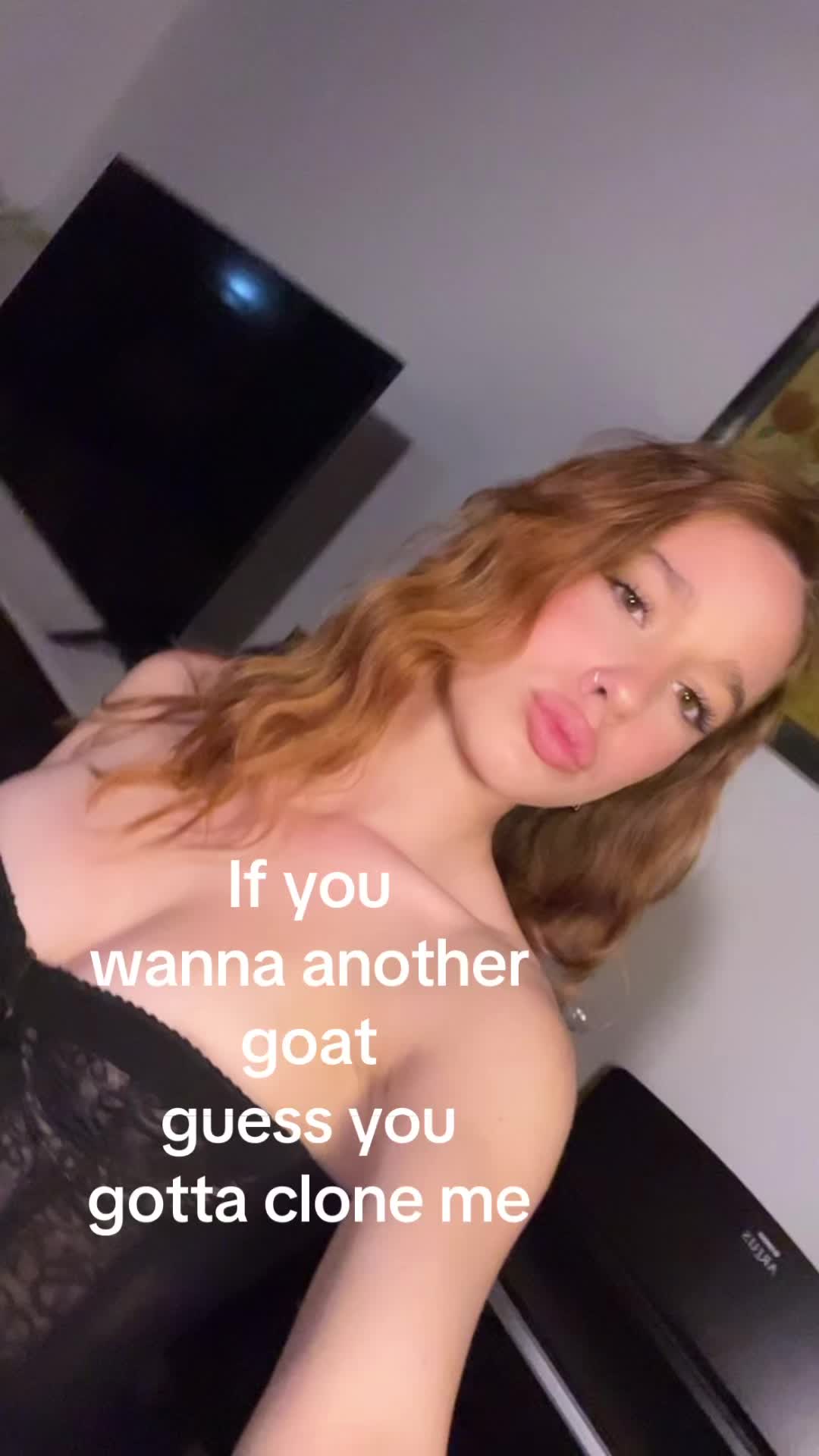 @stellina