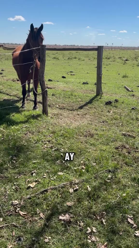 @Ramón_Batalla🫡