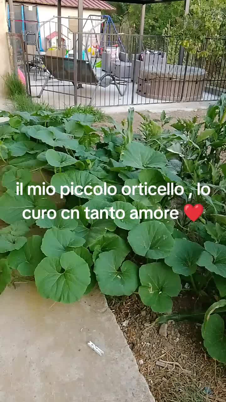@raffaelladamiani20
