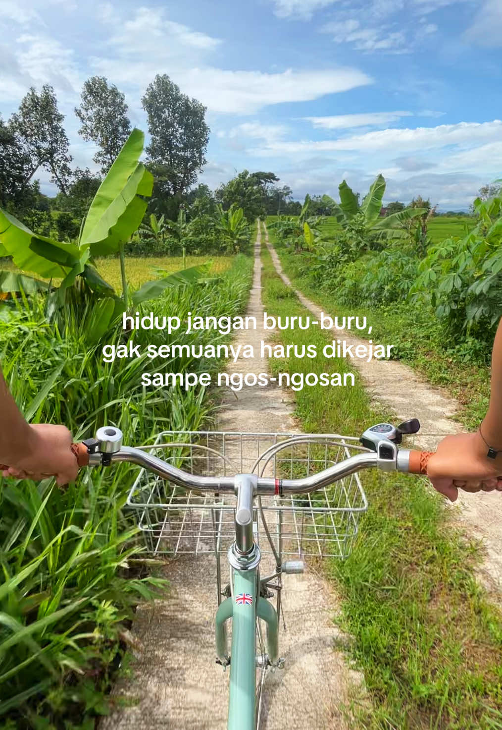 @soto sapiii