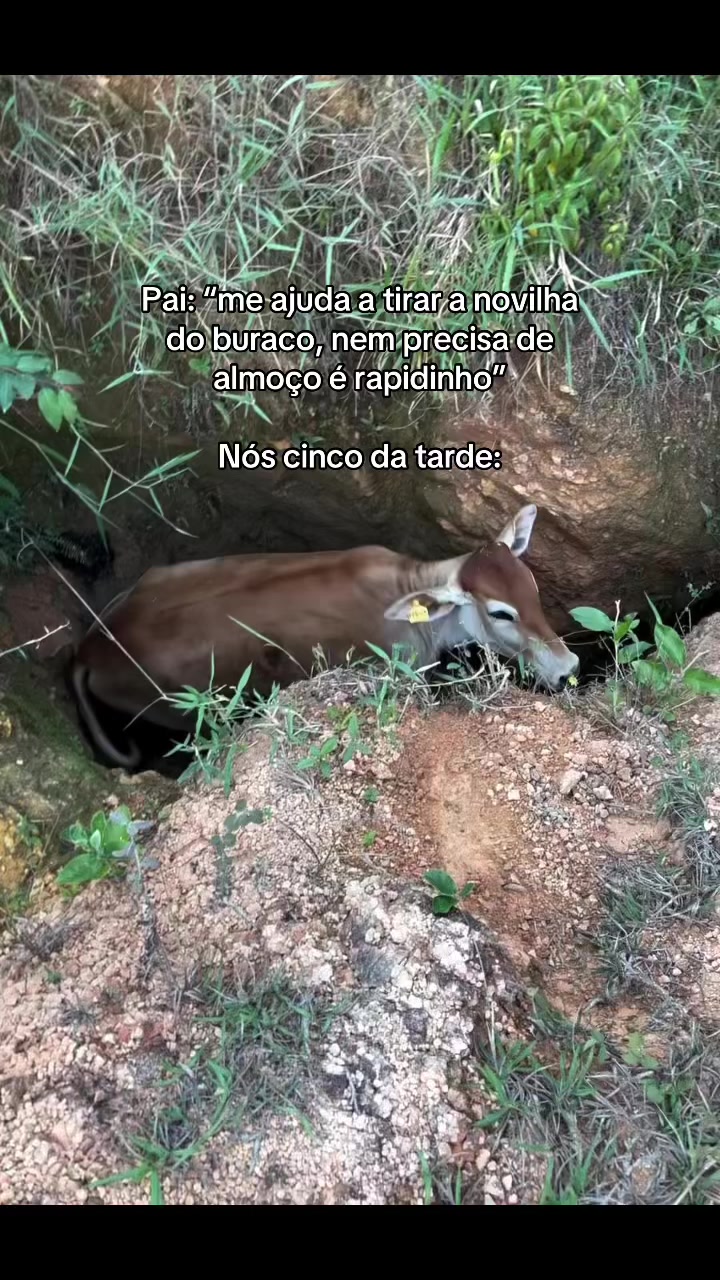 @_paiva.j 🪶🇧🇷