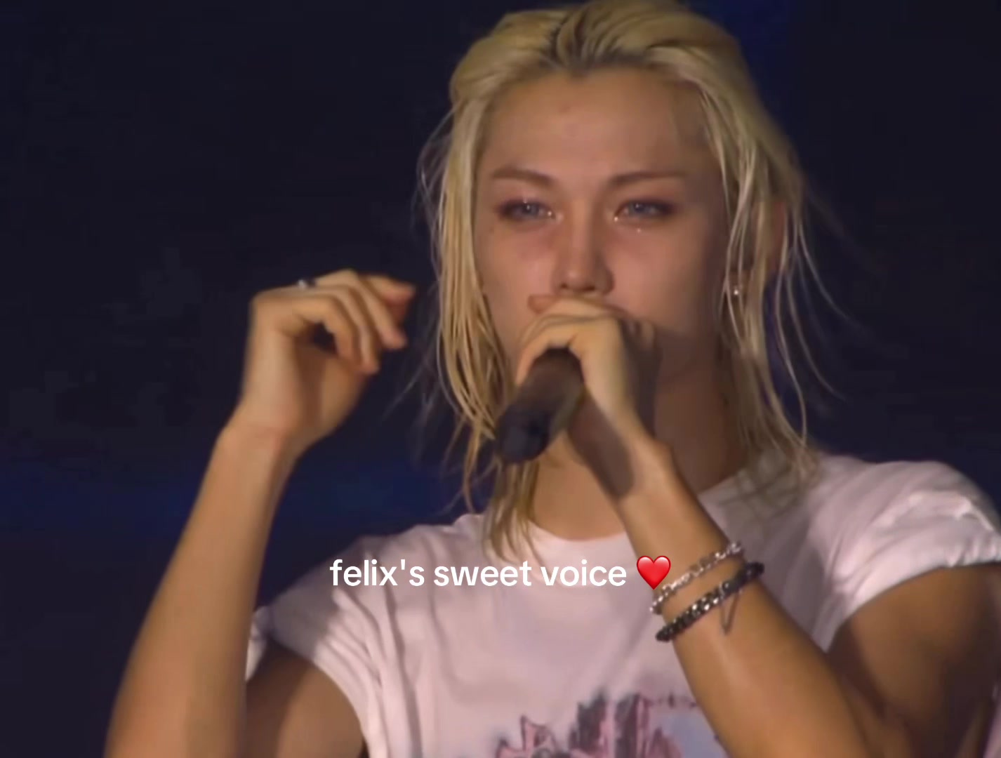 @elise  𑣲.