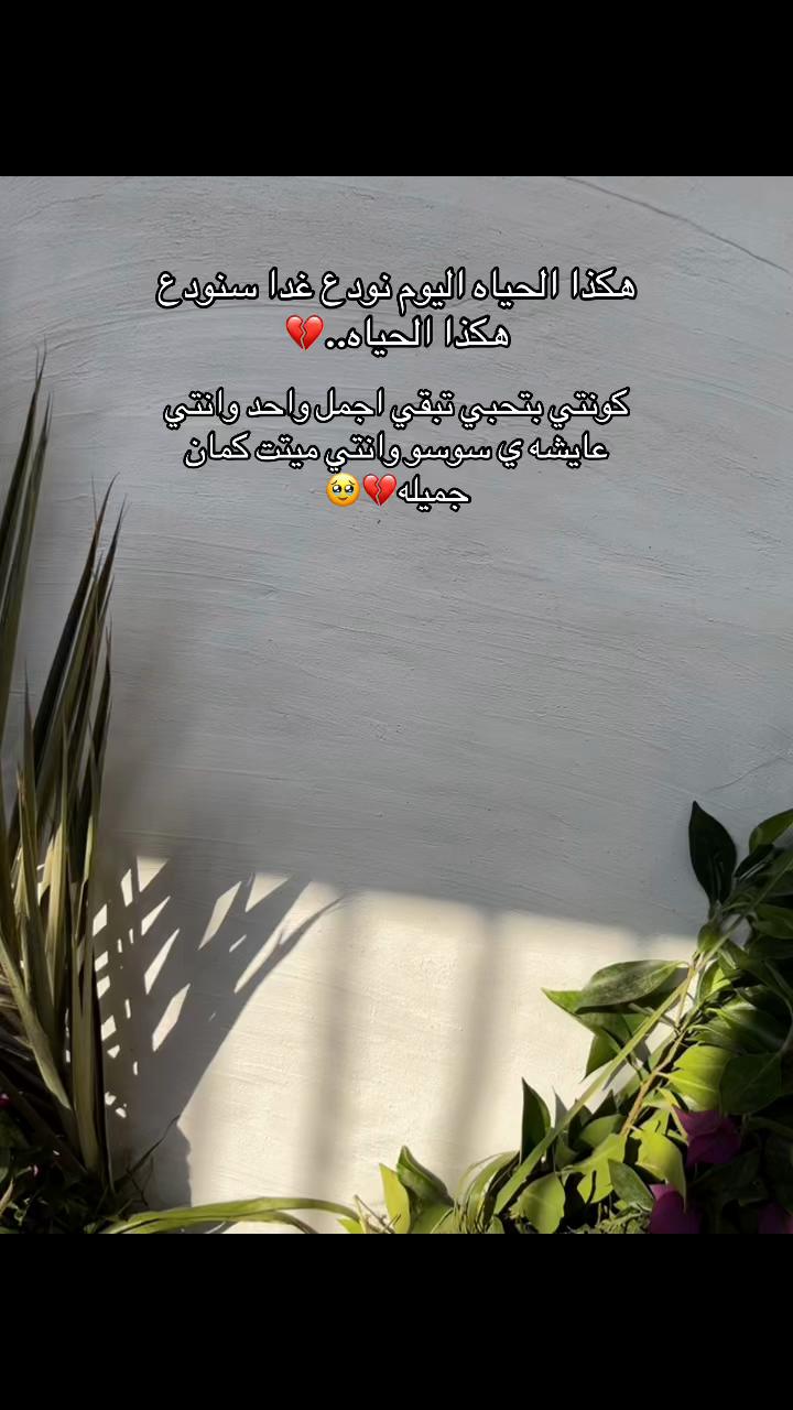 @بسبوسه🦋