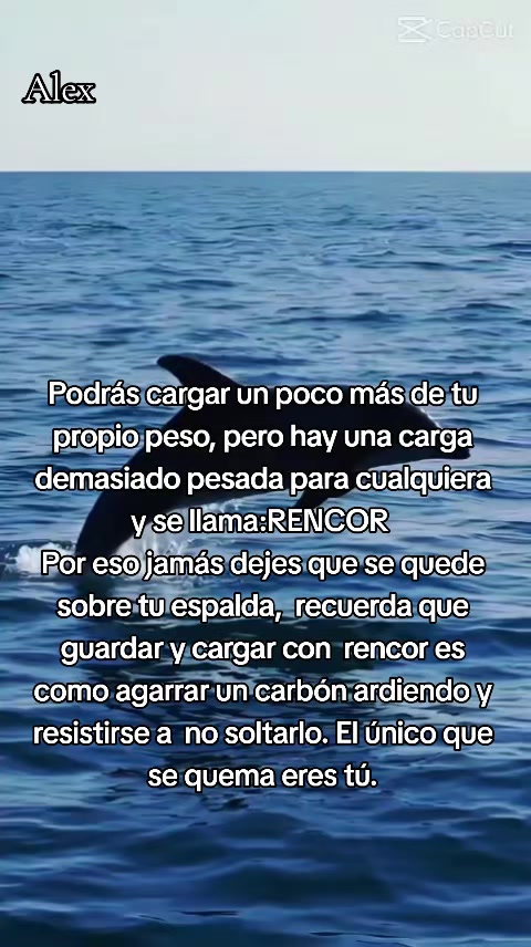 @Benito Alejandro Gonz&aacute;lez Eliz