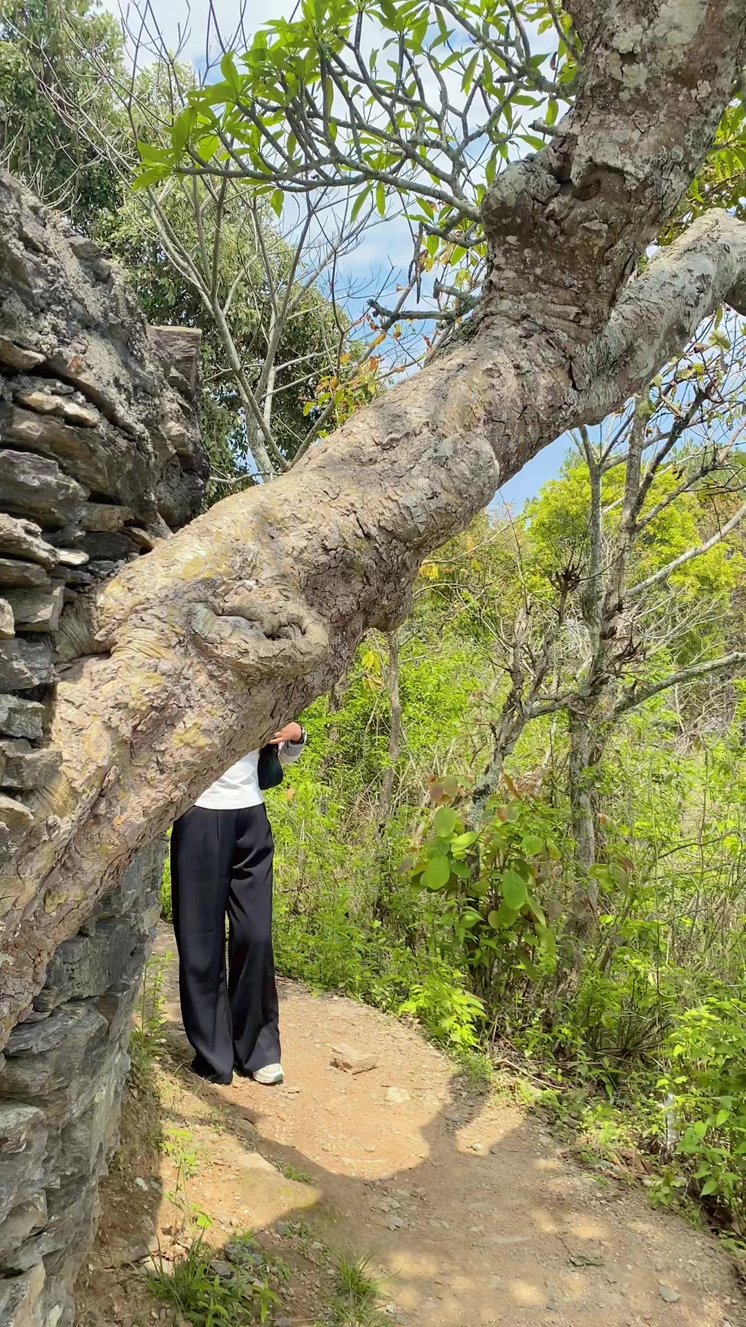 @क्रिष्टिना राई 🧿